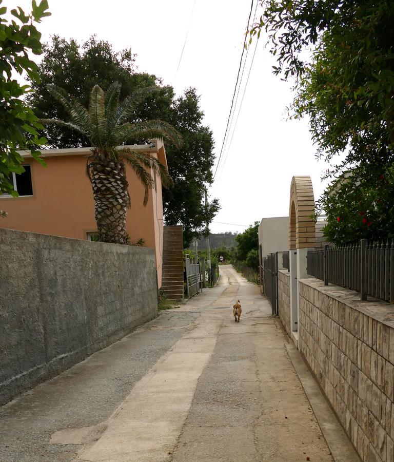 Apartmani Scepanovic Sutomore Bagian luar foto